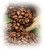 af06f8acc437725aaf4117ef25833a8d