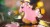 4541b1bc9d706b15d74b0d6764ecbc34