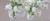 0db2a467e530be309230ff22cc78a092