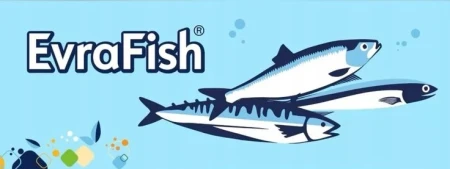 1a552e6f443e416c1ff6592889ec2516