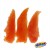 02db11ebe49eaa62e03f069270c7b198