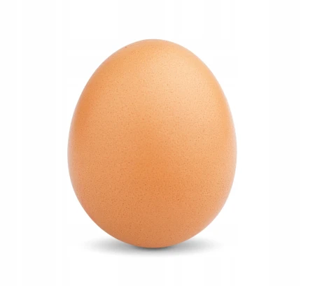 89df1f0d57050ff579e615baccfe8778