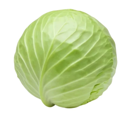 384b91a317e61de276519e11c92ff19d