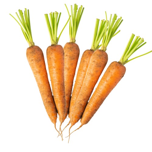 Przejdź do produktu Marchew Brudna Niemyta Świeża 1 kg do Zupy Rosołu Surówek Soków