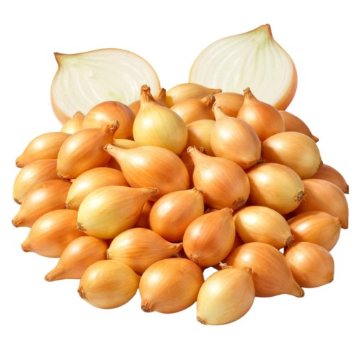 Przejdź do produktu Cebula Dymka 500g Wyrazisty Smak Chrupiąca Świeża 0,5 kg Aromatyczna