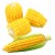 8146f23ecc75e7ad53f85d9057e31889