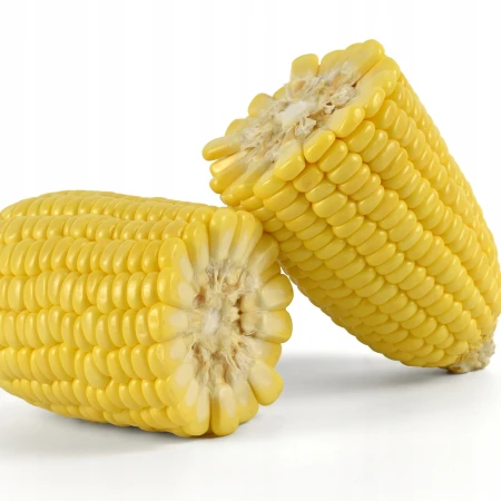 0da5785ee88d0c3582cce087a0f18b17