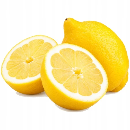 67788694680a6fc86b56e407eeddeb66