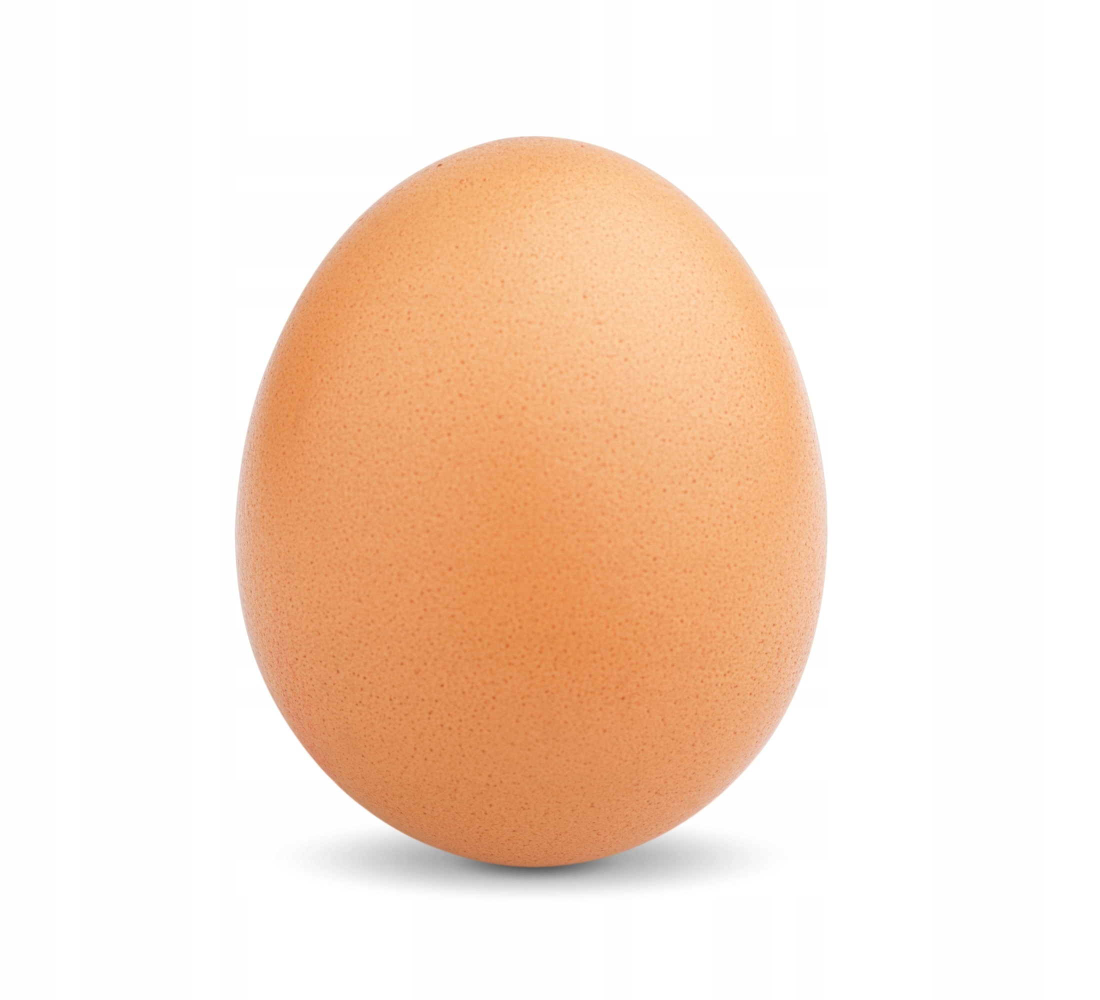 89df1f0d57050ff579e615baccfe8778