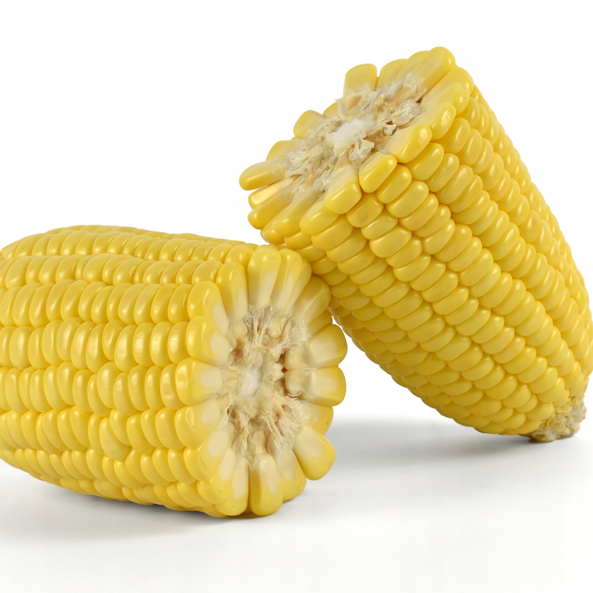 0da5785ee88d0c3582cce087a0f18b17